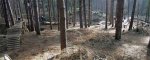 chicksands0307_06.jpg