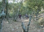 DSCN9846.jpg
