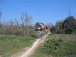 Carrera Villaviciosa 004 (Medium).jpg