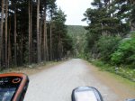 SAM_0876.JPG
