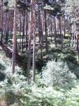 SAM_0903.JPG
