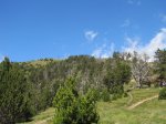 IMG_3043 (Copiar).JPG