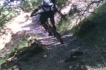 fran%u00252520plegada.jpg