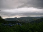 DSCF2017.jpg