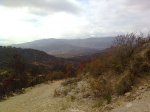 Imagen1268.jpg
