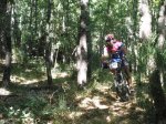 P7150141 (Copiar).JPG