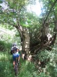 JULIO 2012 082 (Copiar).JPG