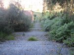 IMG_3547.JPG