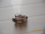 DSCN0791.JPG