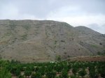CIMG0836.JPG
