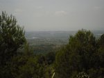 CIMG0878.JPG