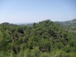CIMG0880.JPG