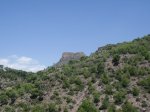 CIMG0881.JPG