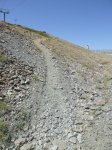 resized_P1020746.jpg