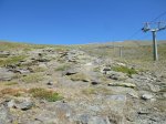 resized_P1020763.jpg