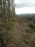 190720121577.jpg