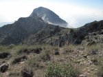 IMG_4526.jpg