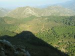 IMG_4547.jpg