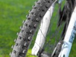 mtnbikeschool.com_Maxxis_Medusa_._Tubeless.jpg