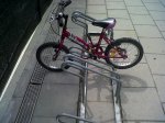 IMG00137-20120414-1324.jpg