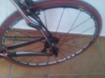 rueda1.jpg