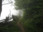 IMG_3951.JPG