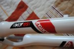 DSC_0917.JPG