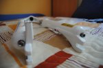 DSC_0919.JPG