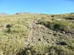resized_P1020769.jpg