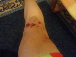 Foto0513.jpg
