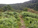21072012214_819x614.jpg