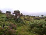 21072012216_819x614.jpg