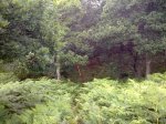 21072012218_819x614.jpg