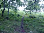 21072012220_819x614.jpg