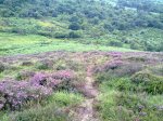 21072012223_819x614.jpg