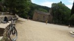 DSC04781.jpg