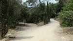 DSC04782.jpg