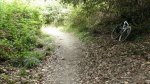 DSC04784.jpg