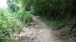 DSC04787.jpg