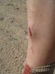 2012-07-07 11.01.19_11.jpg