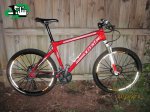 1270044087_trek99.jpg