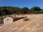 Las 4 marias -Pelayos de la presa 21-7-12 (6).jpg