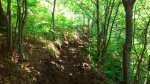 DSC_0077.JPG