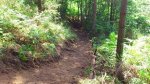DSC_0078.JPG
