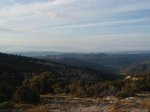 P7220265 (Copiar).JPG