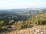 P7220271 (Copiar).JPG