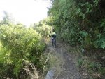 MOGOTE JULIO 2012 024 (Copiar).jpg