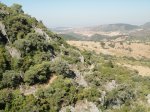 MOGOTE JULIO 2012 015 (Copiar).jpg