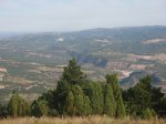P7220292 (Copiar).JPG