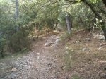 P7220301 (Copiar).JPG